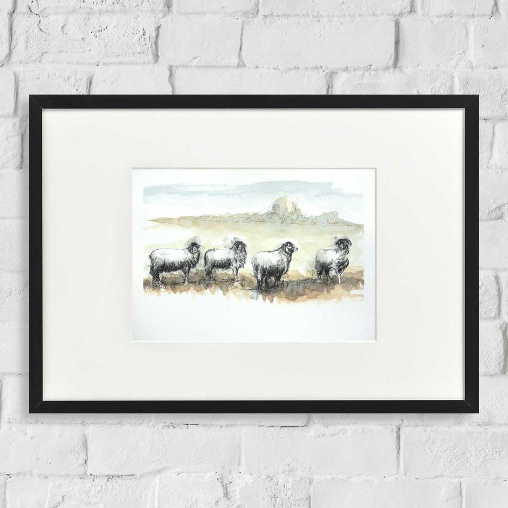 Moorland sheep line