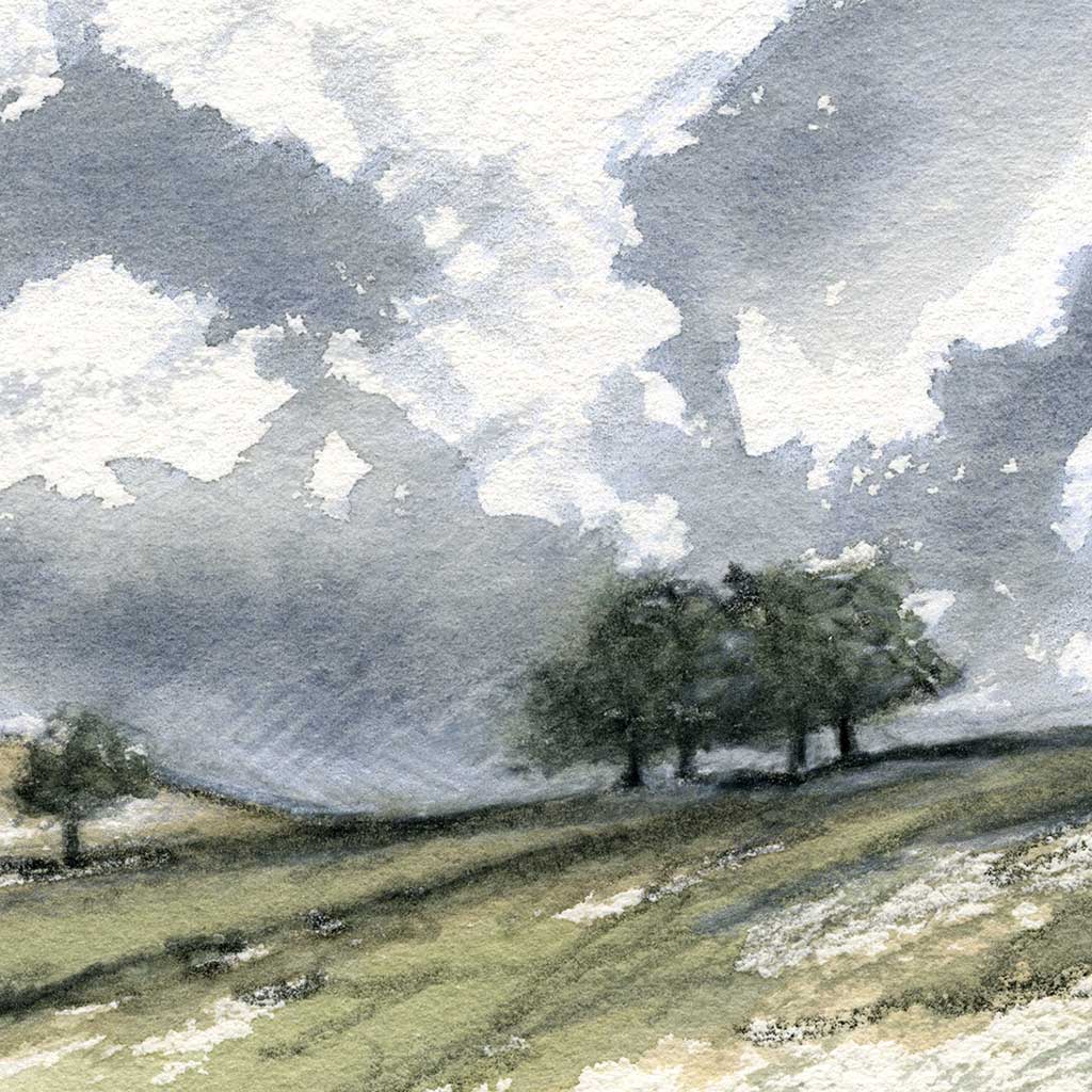 Moorland trees - Colour Sketch | small one off