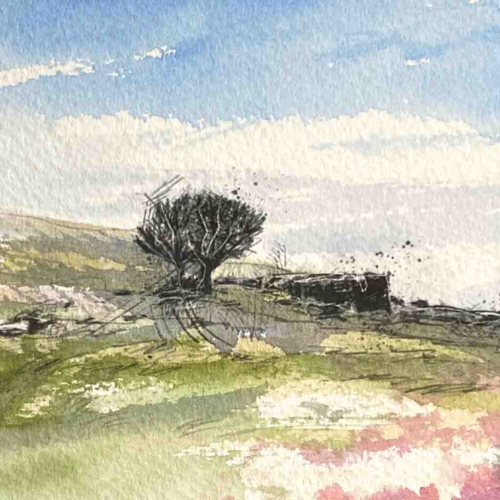 Summer at Top Withens