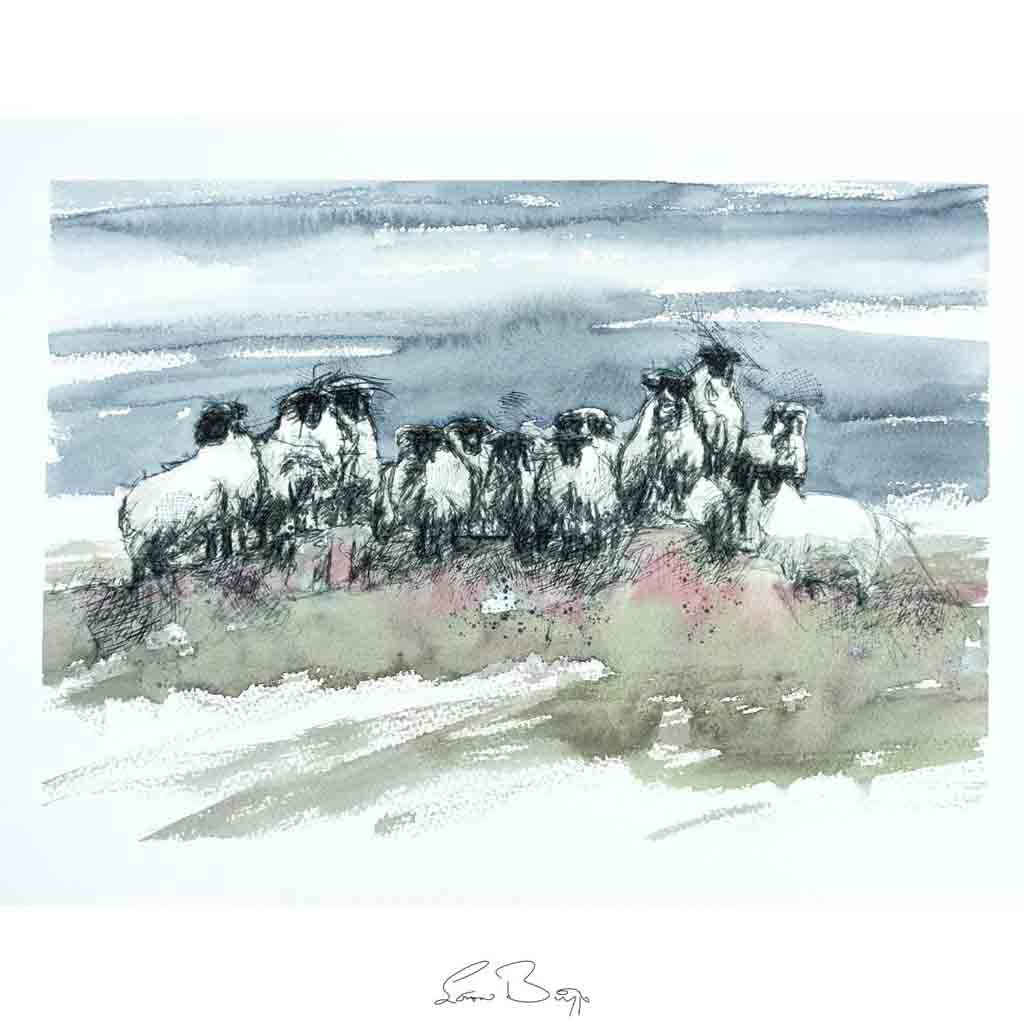 Moorland sheep watercolour