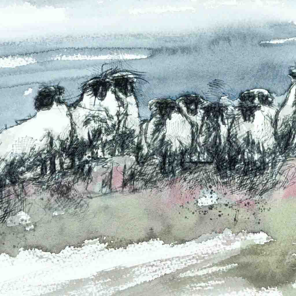 Moorland sheep watercolour