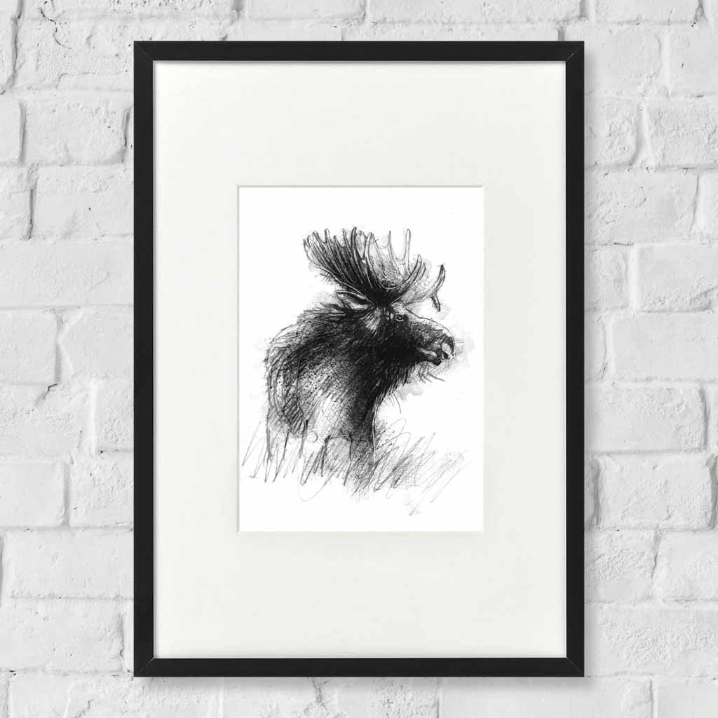 Moose sketch
