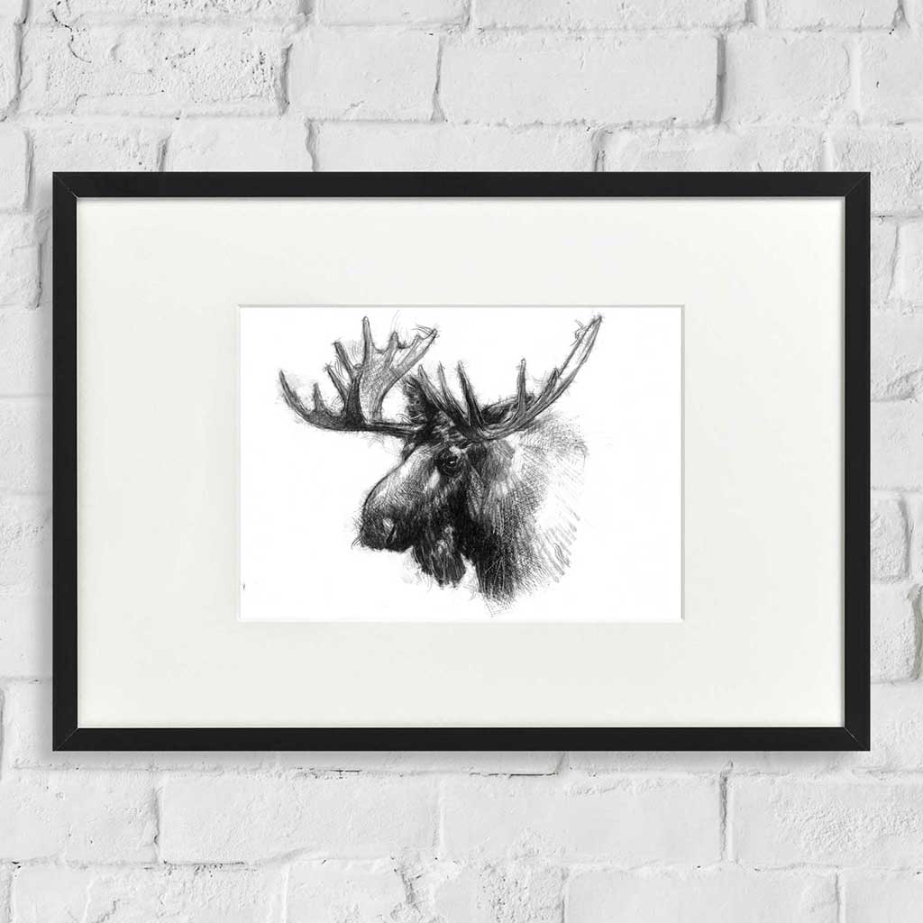 Bull moose