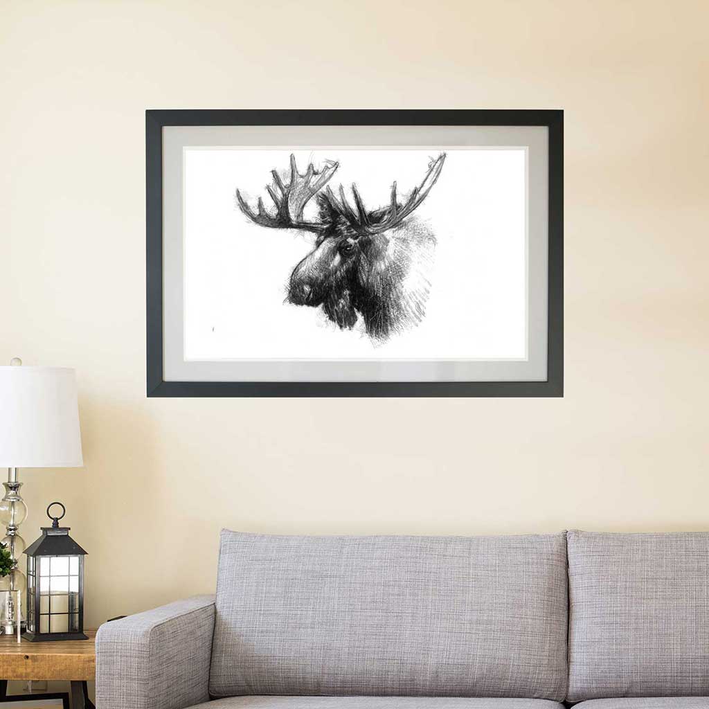 Bull moose