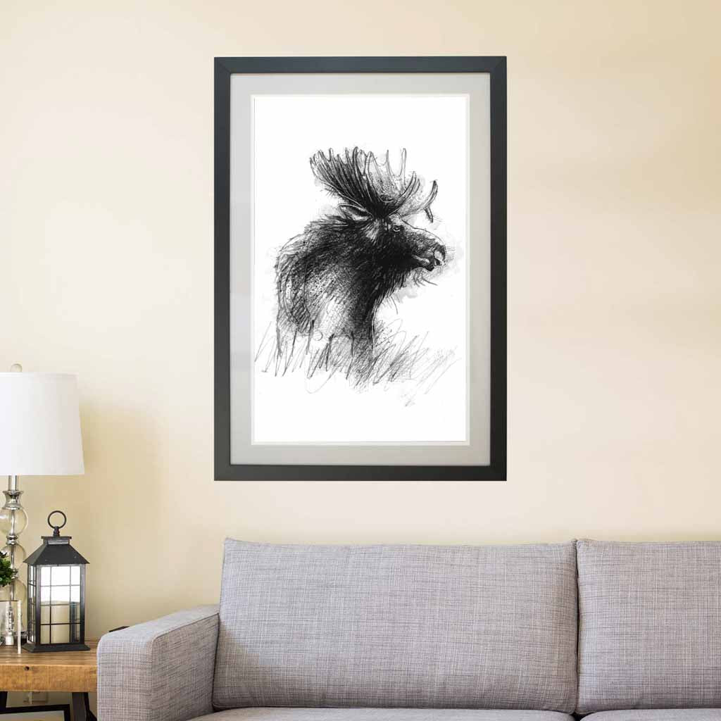 Moose sketch