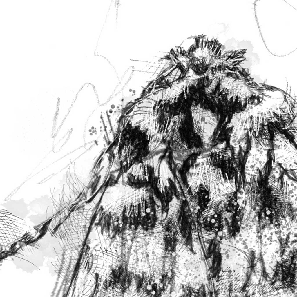 oak moth