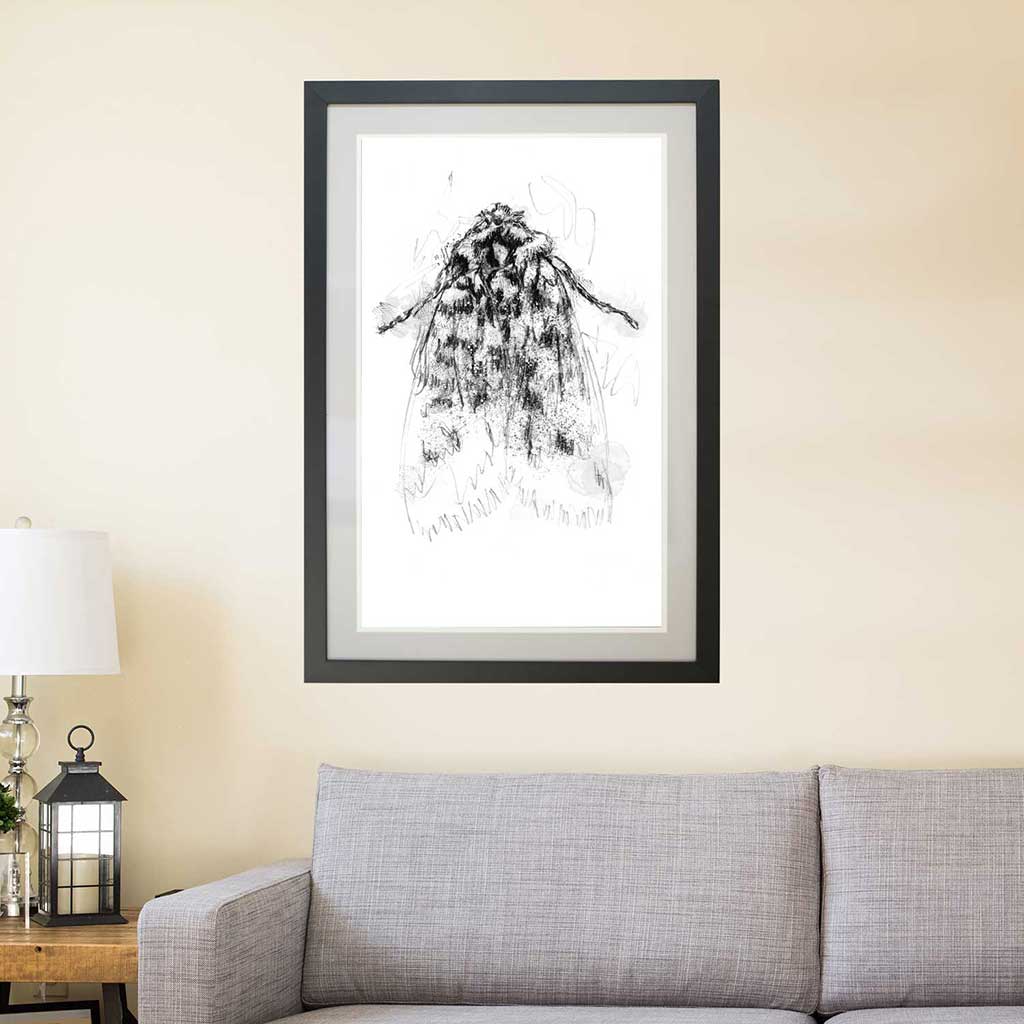 oak moth