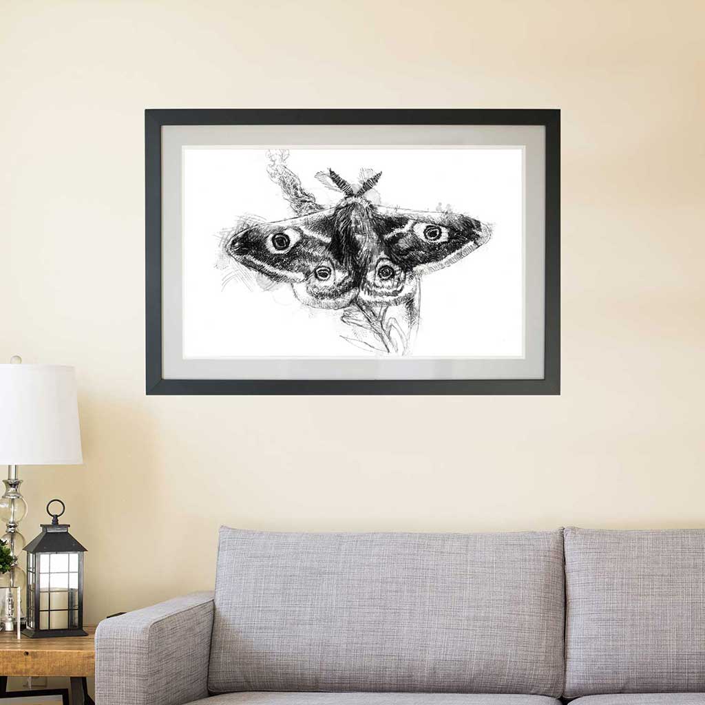 Emperor moth