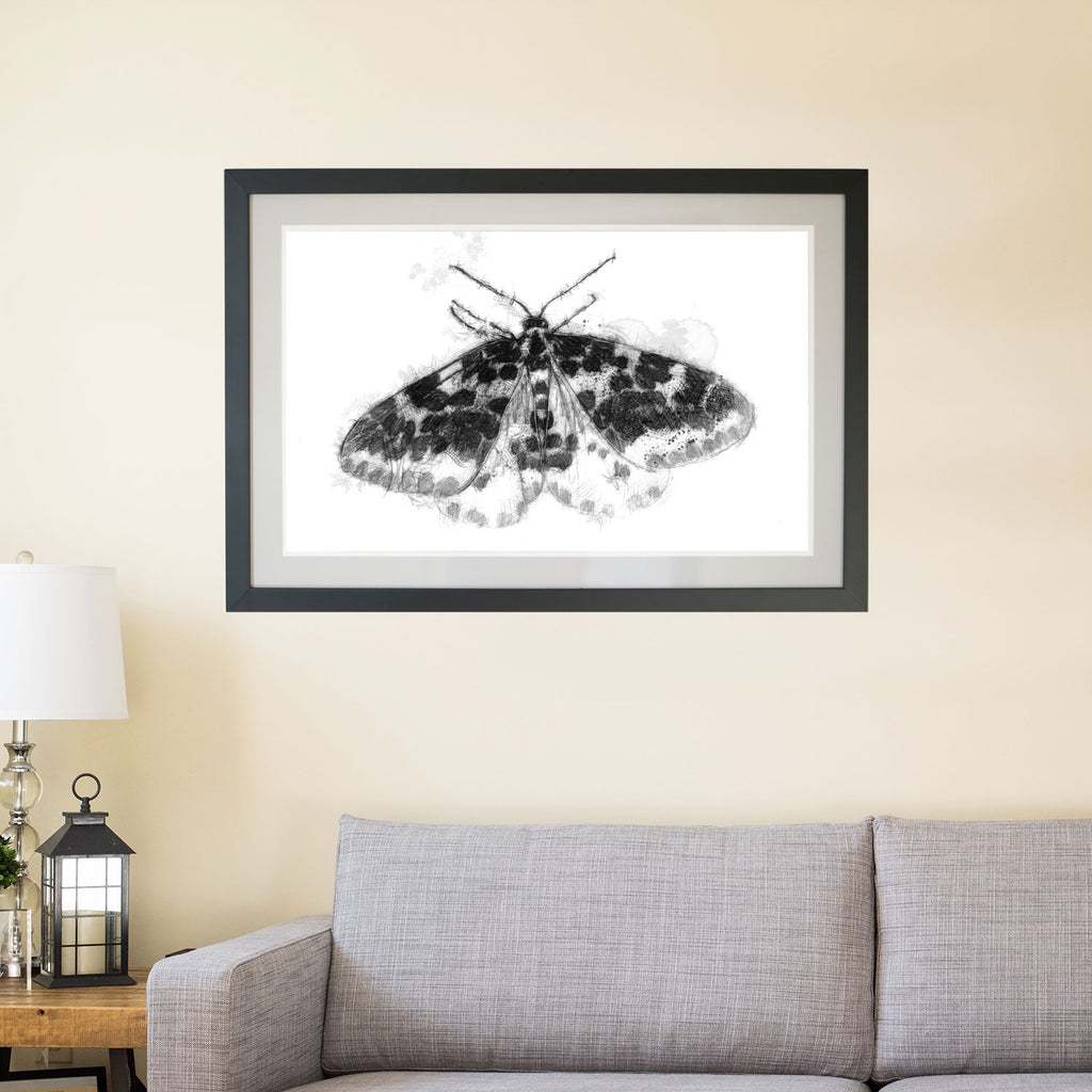 Speckled moth