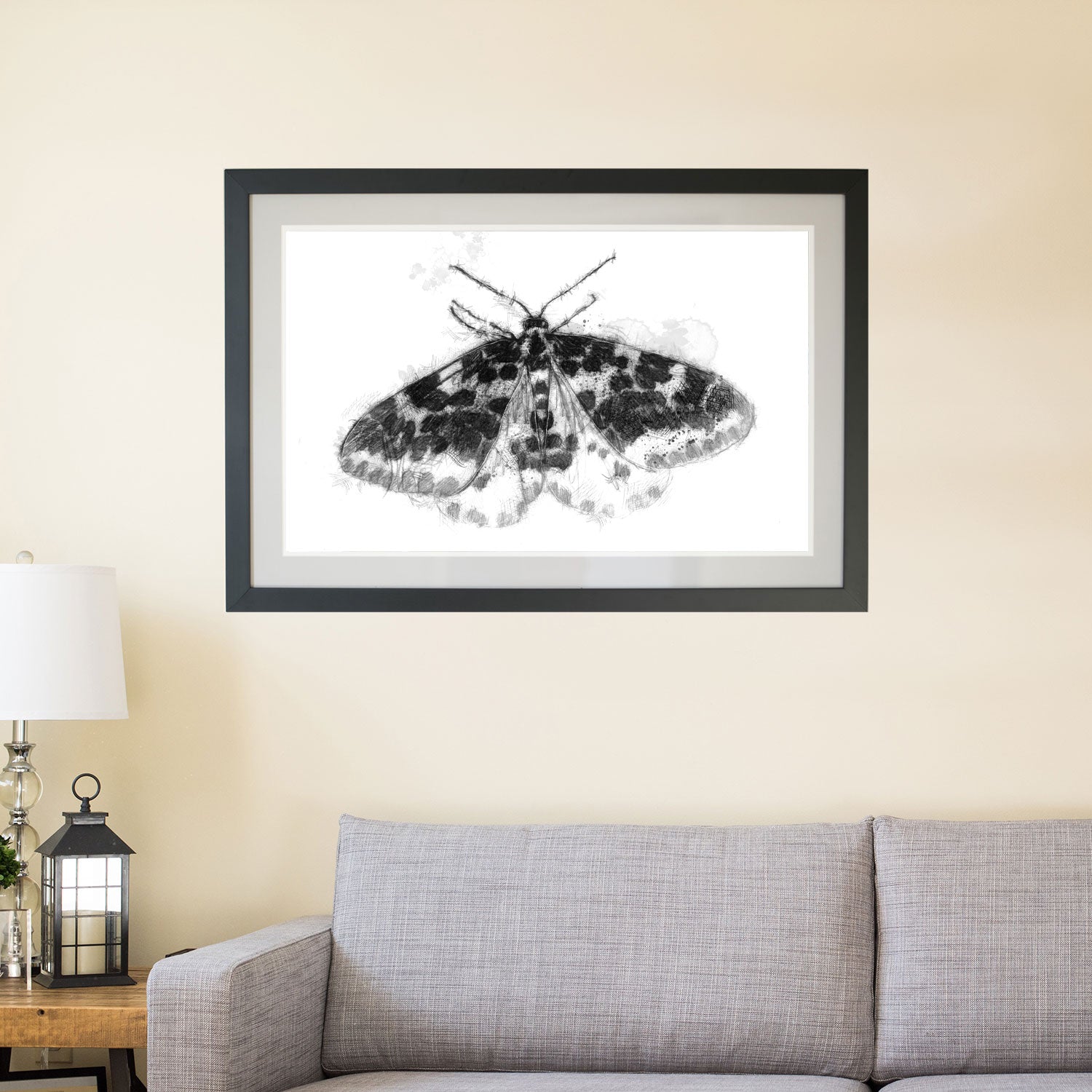 Speckled moth