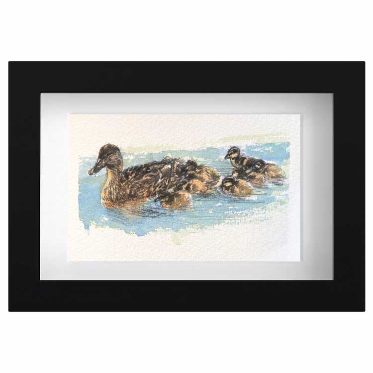 Mother duck mini sketch