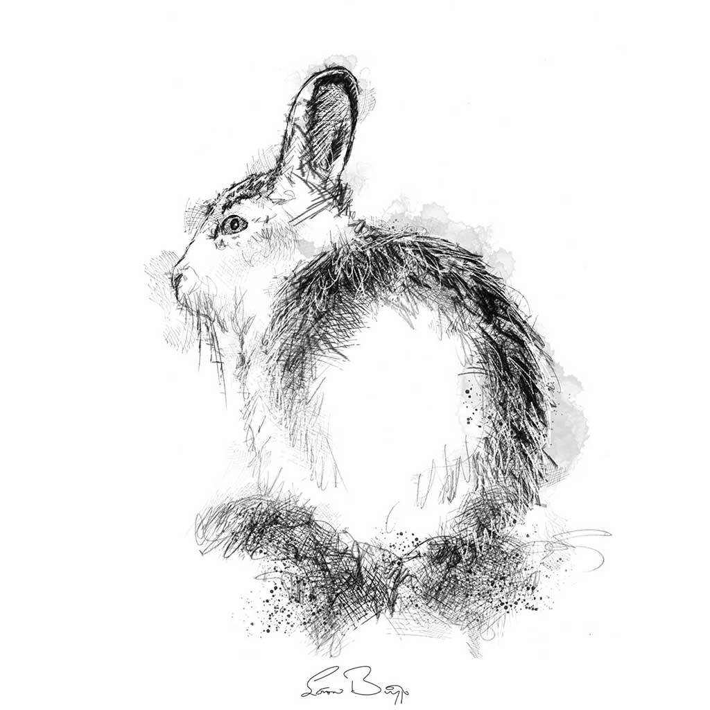Mountain hare