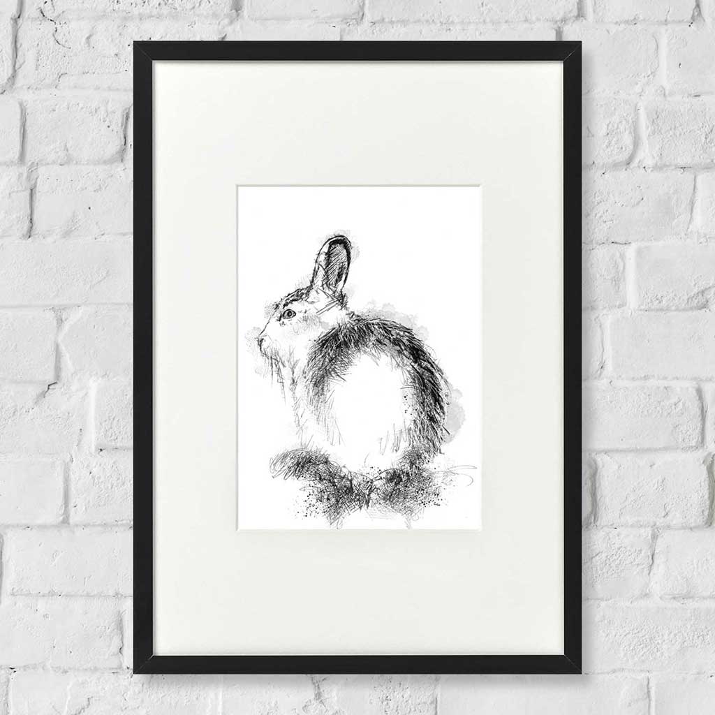 Mountain hare