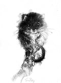 Harvest mouse