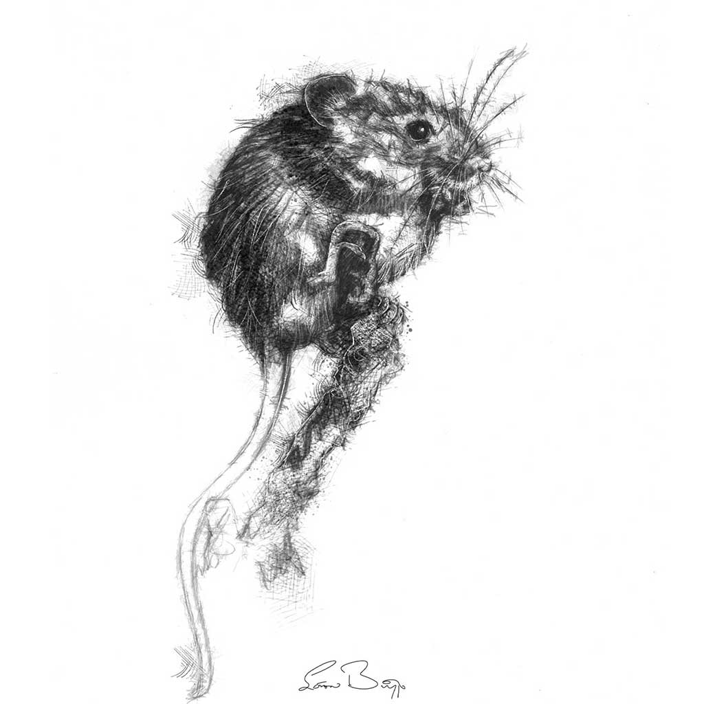 mouse balancing