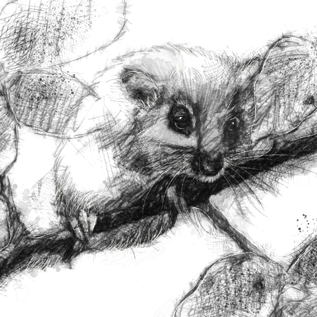 Dormouse