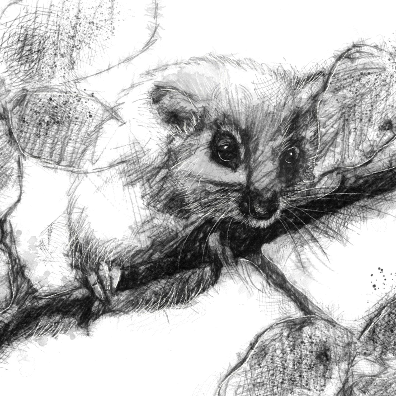 Dormouse