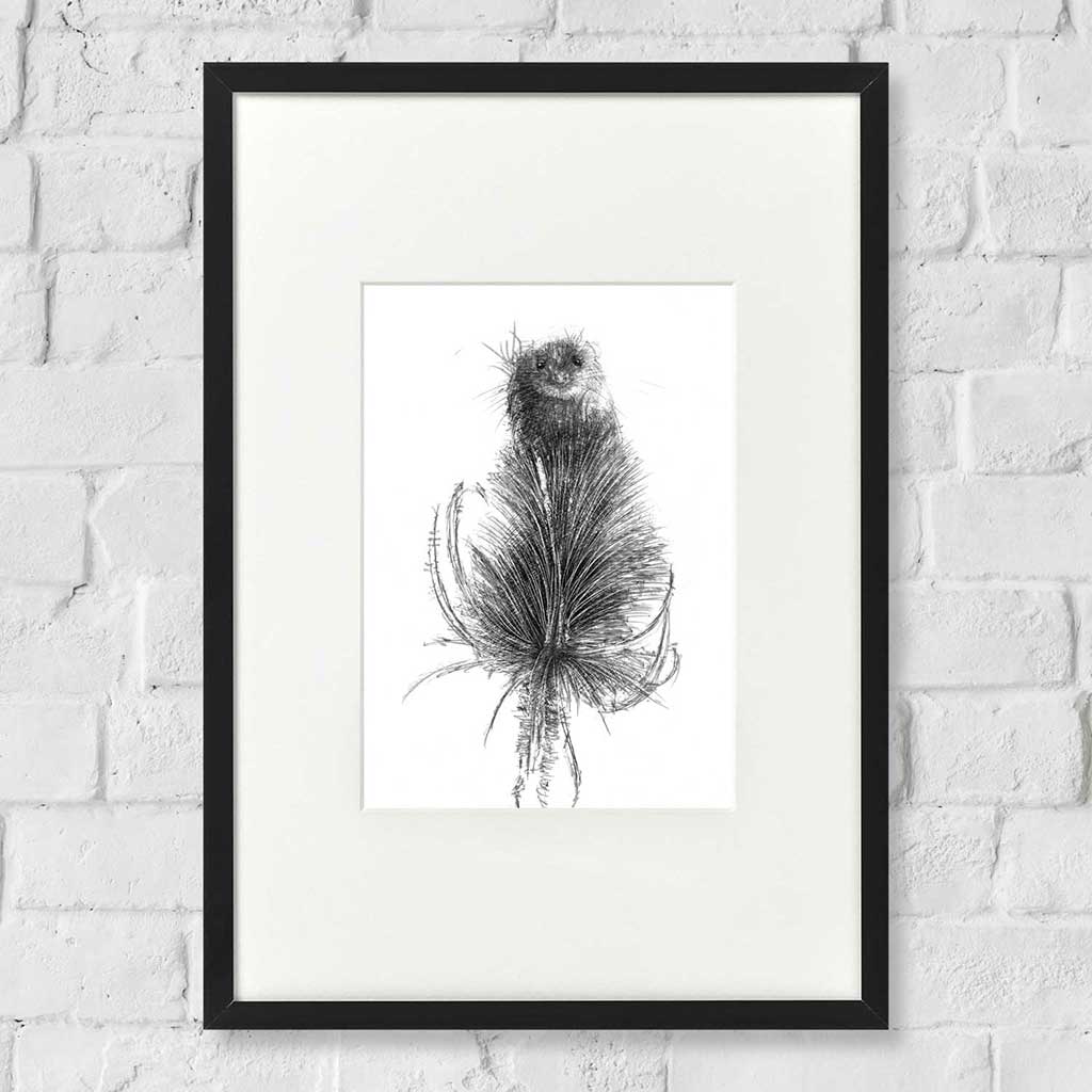 Teasel mouse