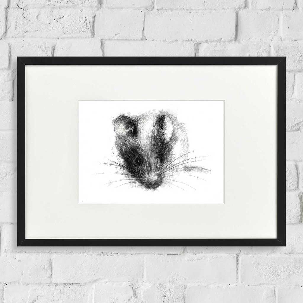 House mouse