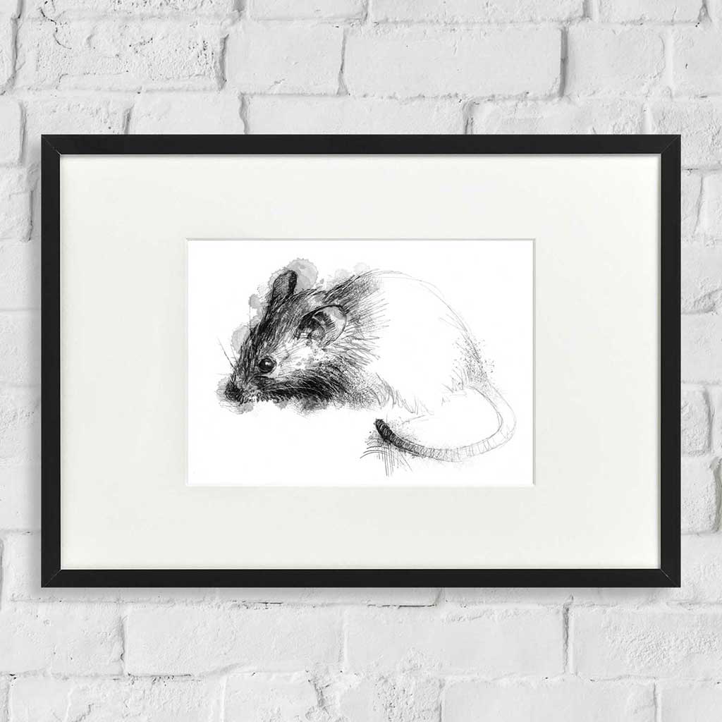 Little house mouse