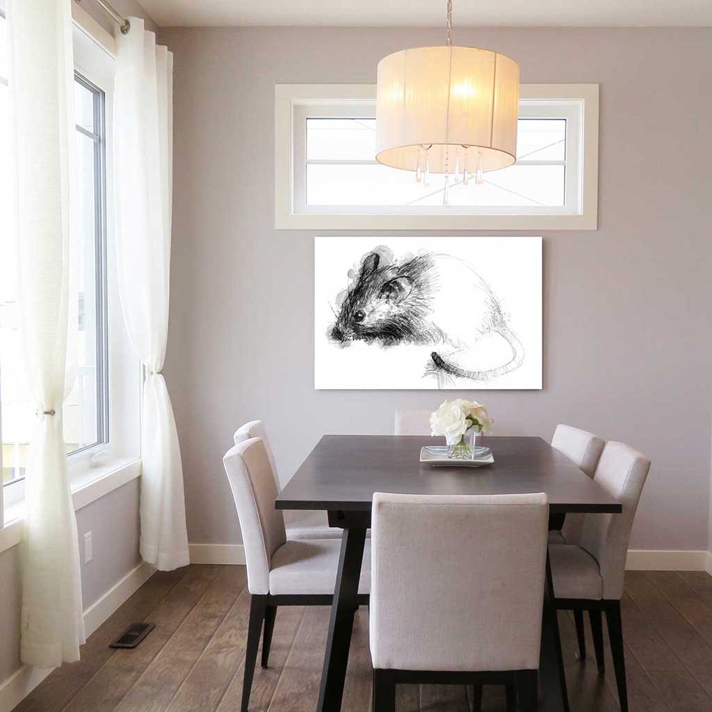 Little house mouse
