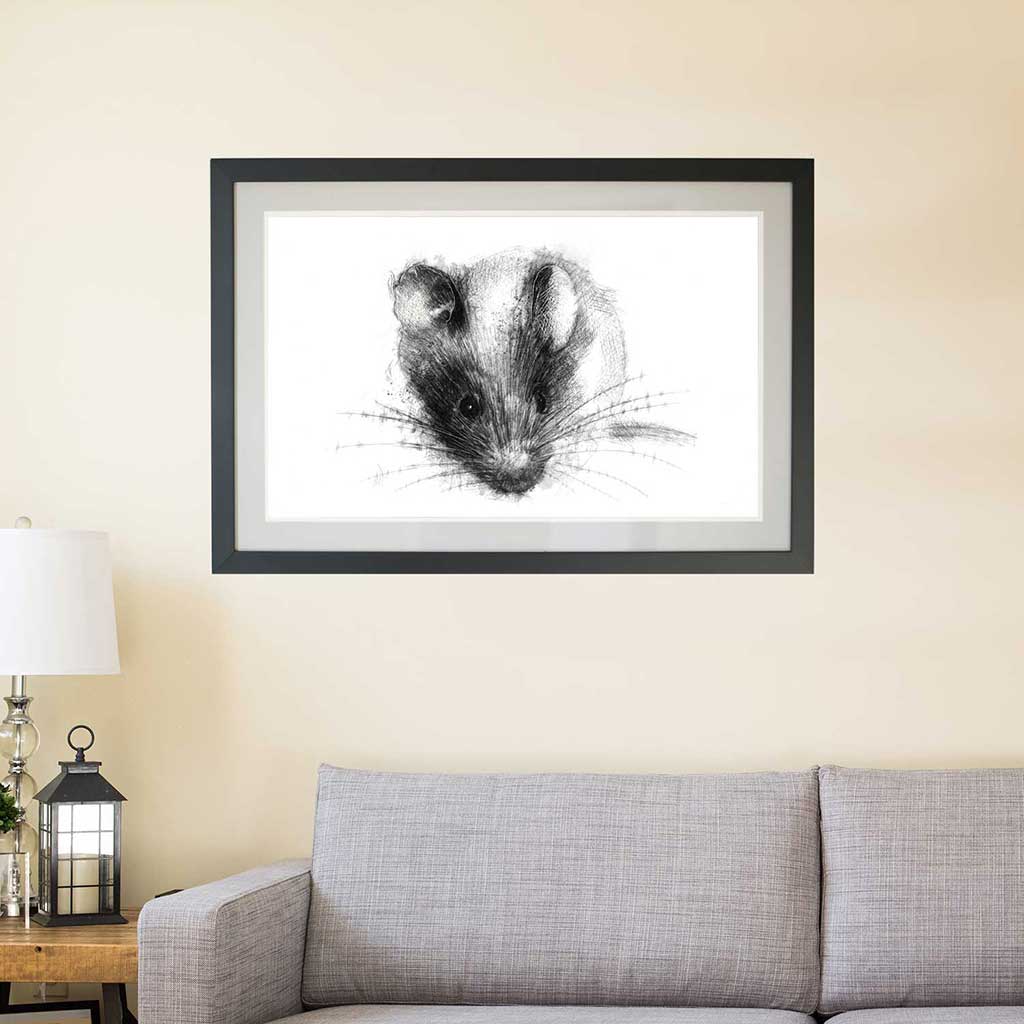 House mouse
