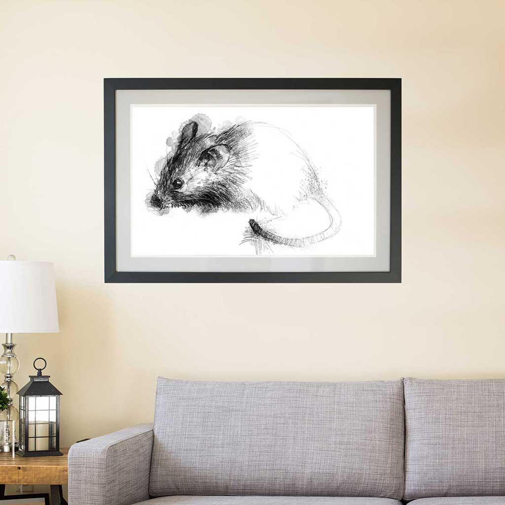 Little house mouse