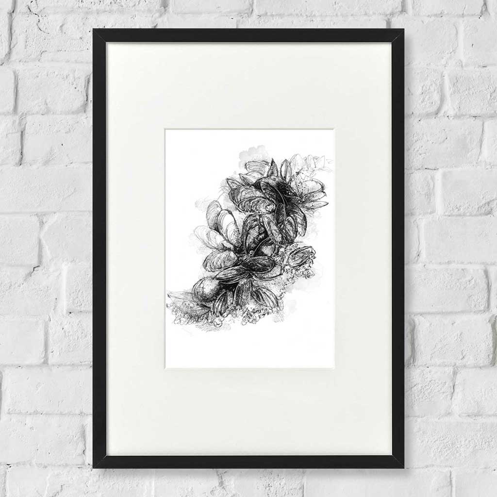 Mussels