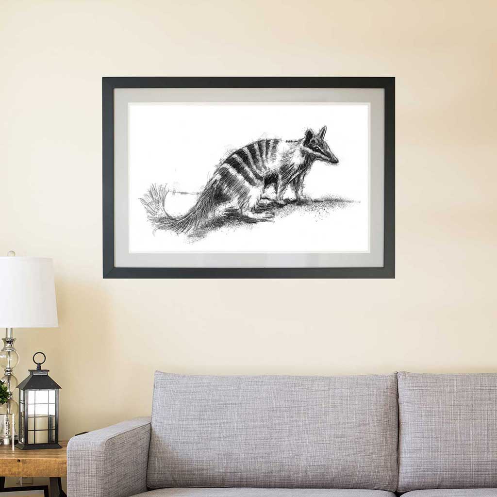Numbat