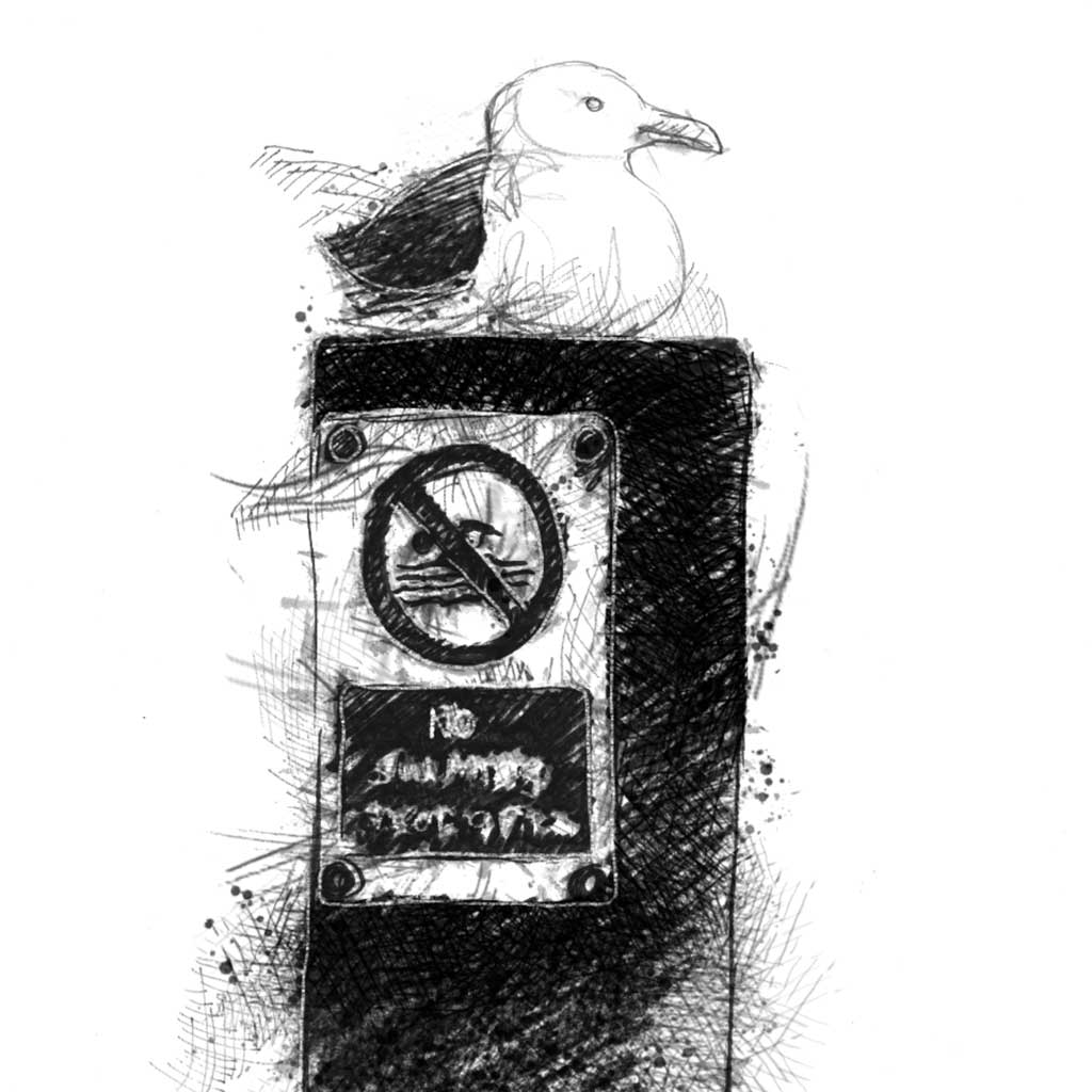 Southwold seagull - BW Sketch