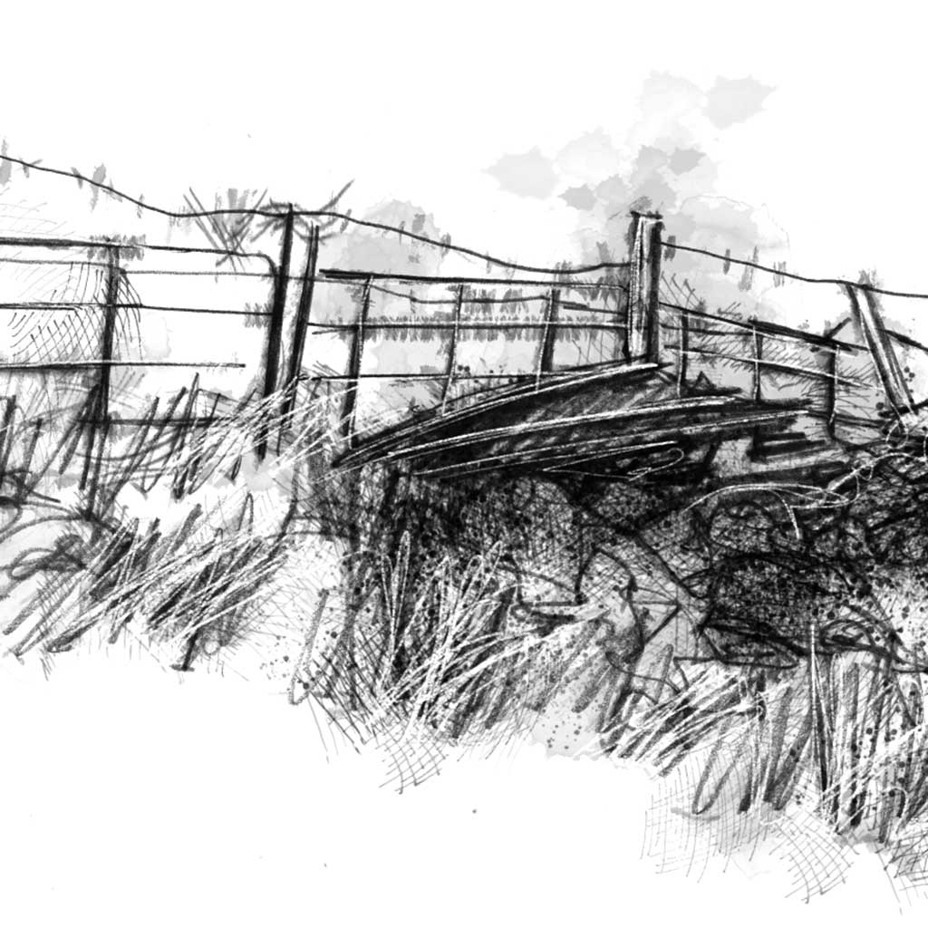 Old wire fence - BW Sketch
