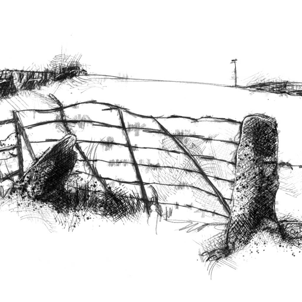 Old field gate - BW Sketch