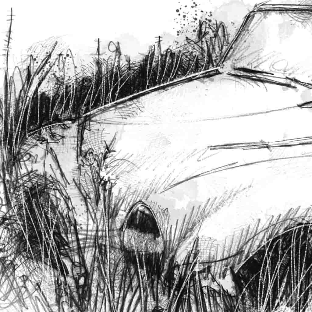 Abandoned Morris car