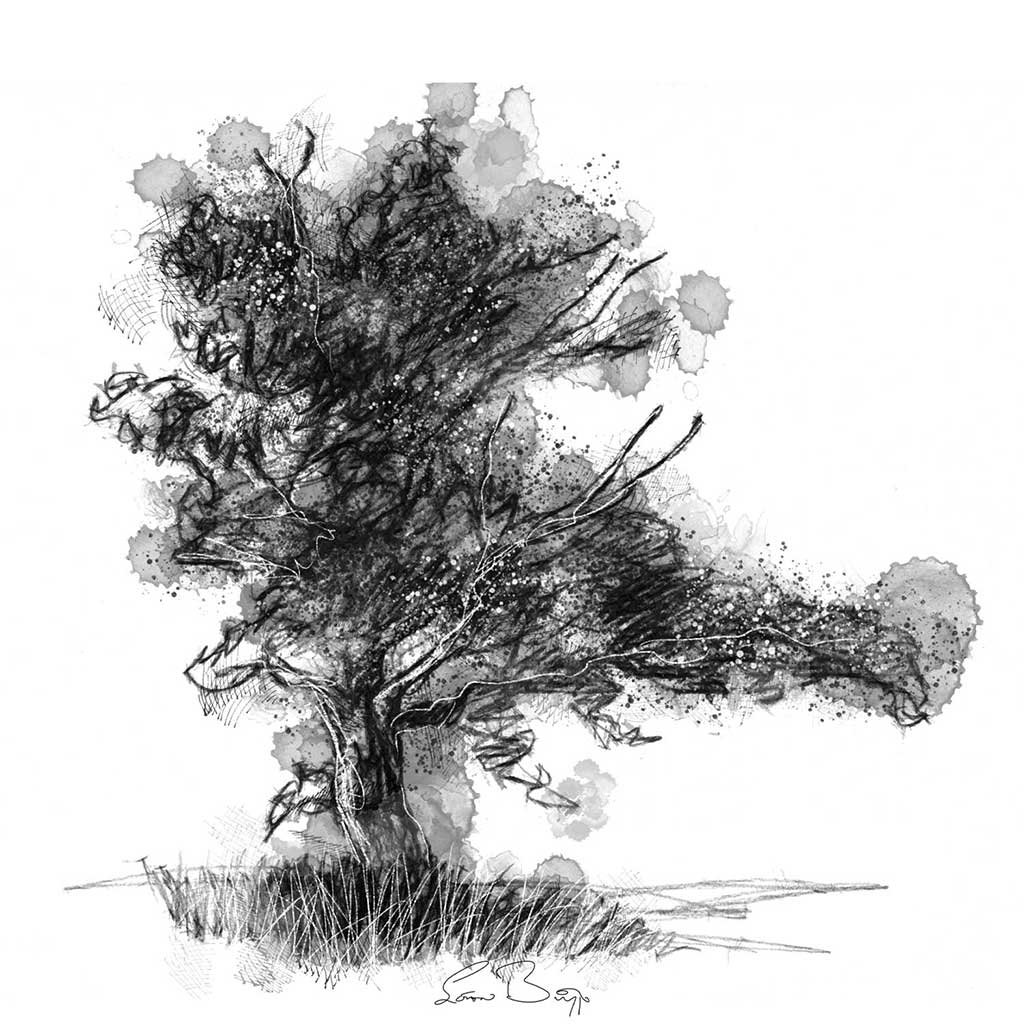 Old tree