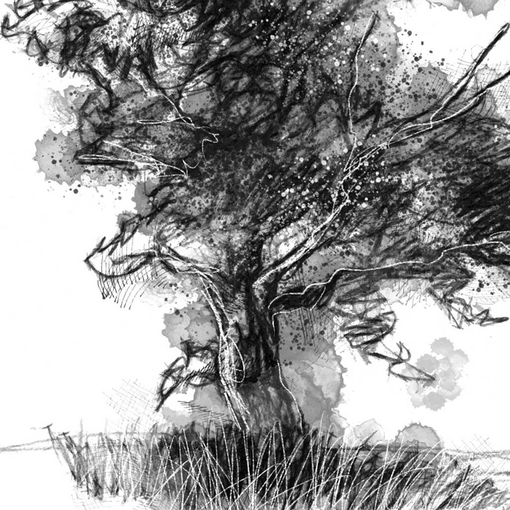 Old tree