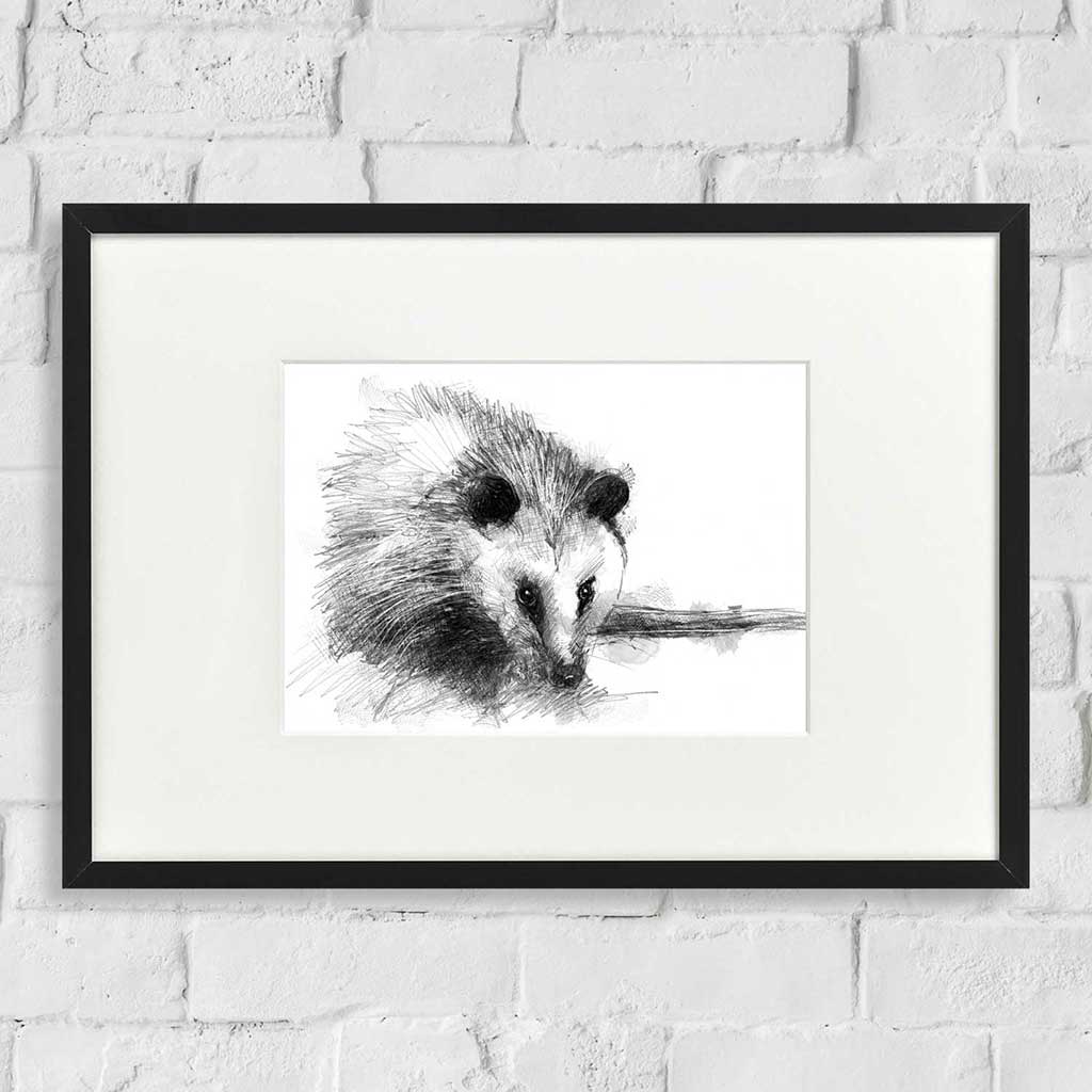 Opposum