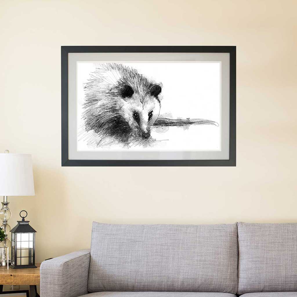 Opposum