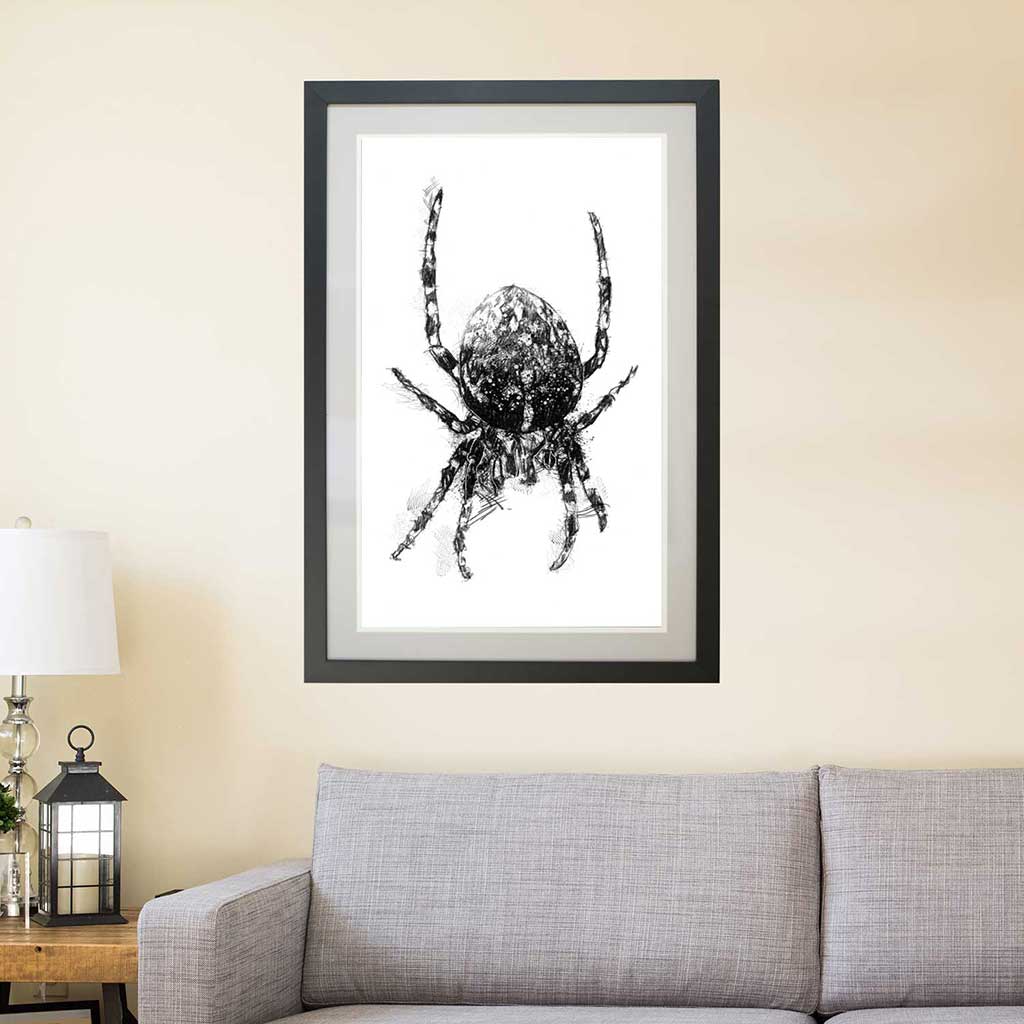 Orb web spider