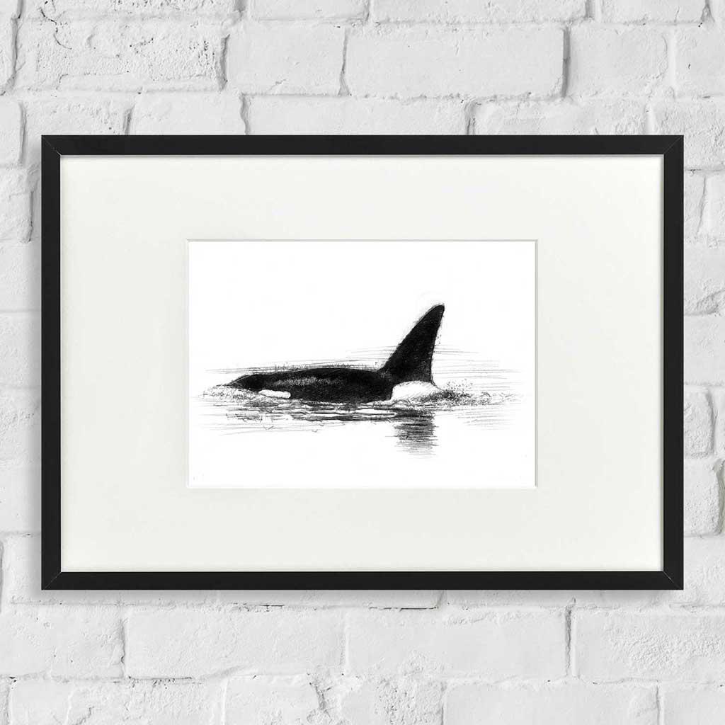 Orca