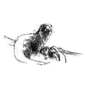 A black and white sketch of an otter sitting on a branch, rendered in expressive pencil or ink strokes on a plain white background.