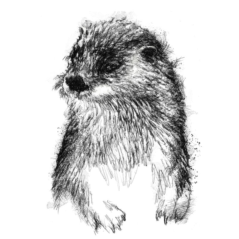 Otter