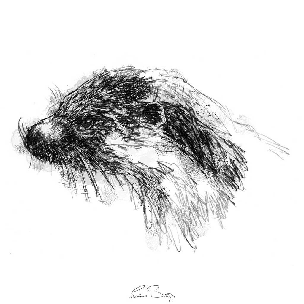 Otter
