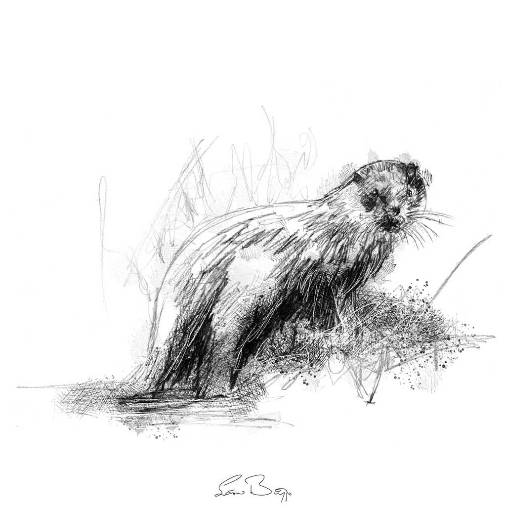 Wet otter