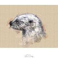 European otter