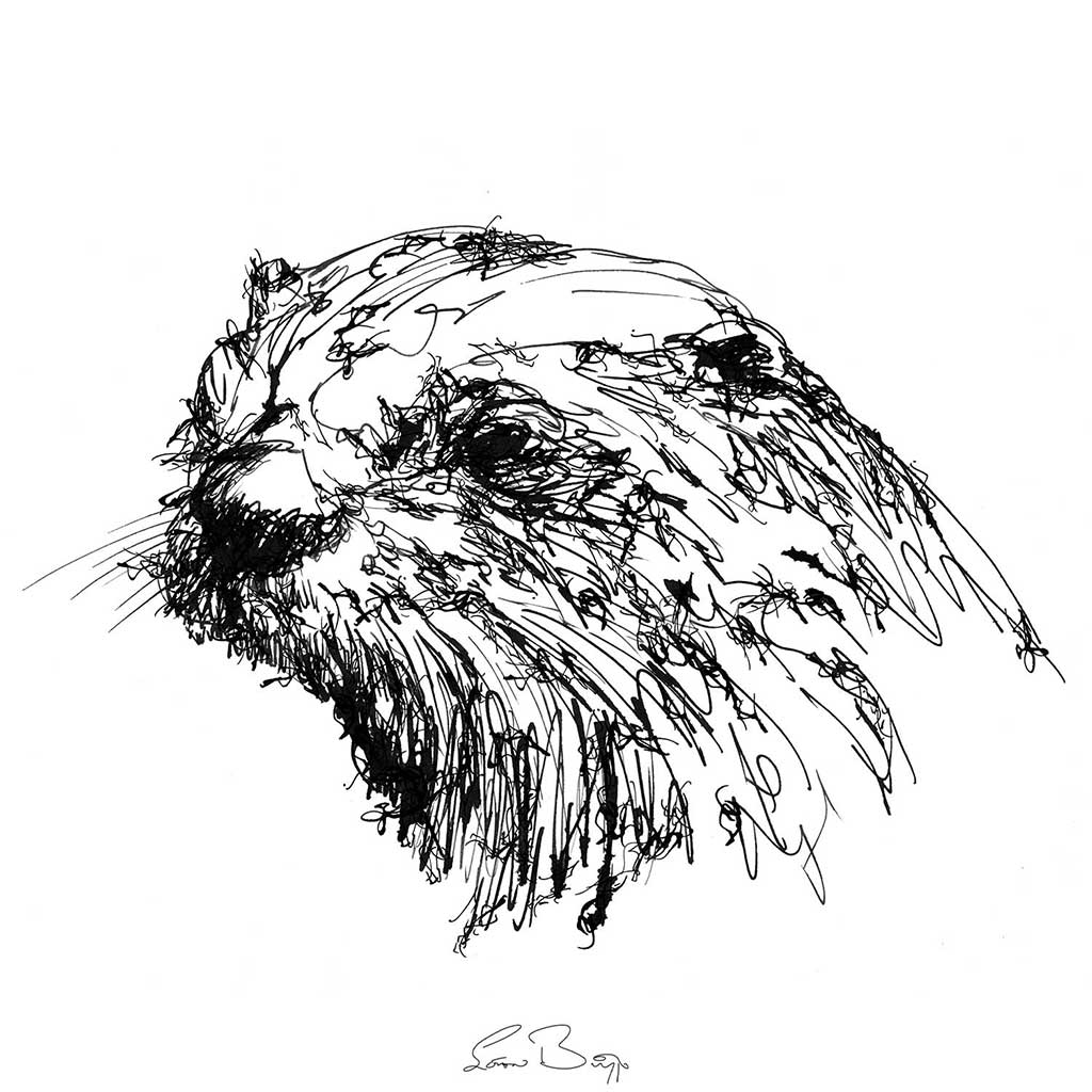 Otter ink scribble