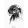 British otter