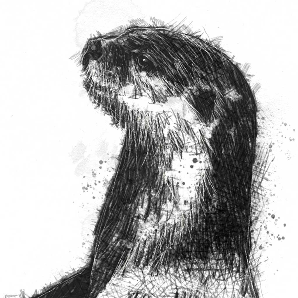 Otter