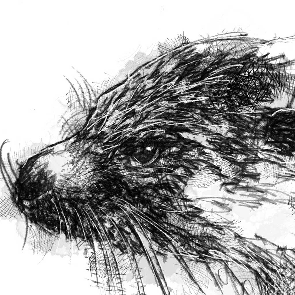 Otter