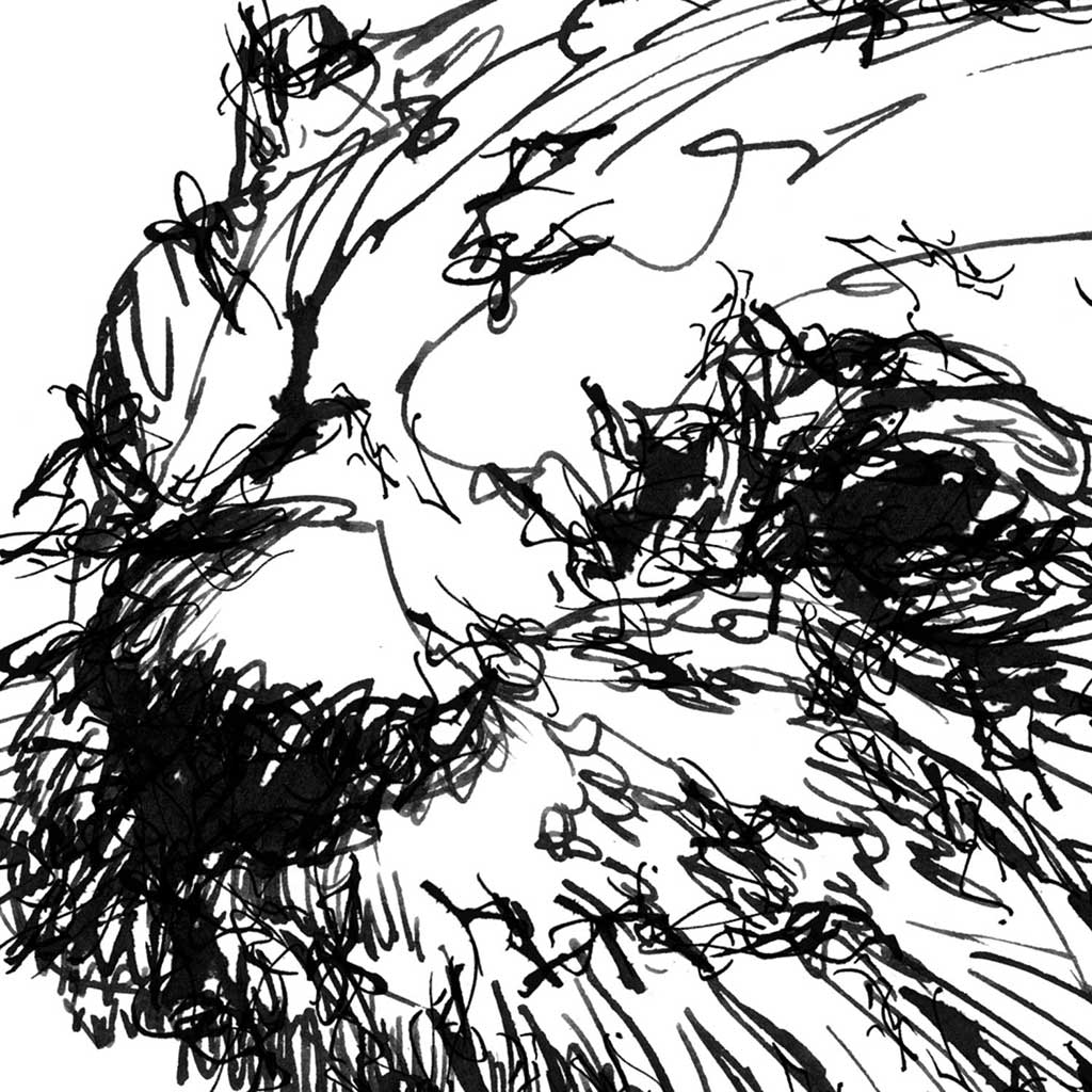 Otter ink scribble