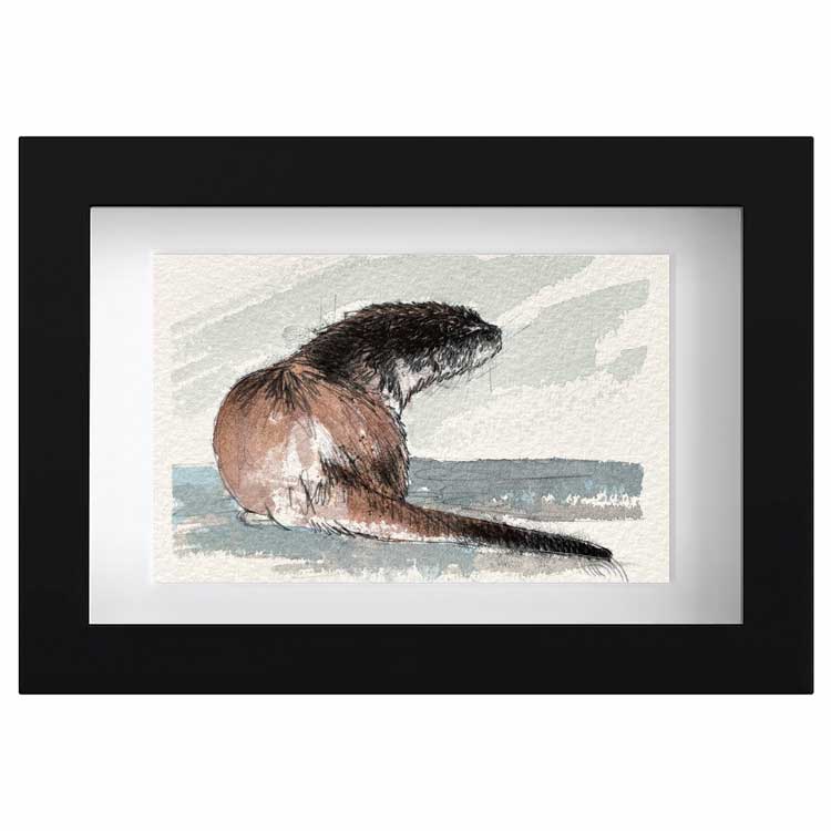 Otter original mini sketch